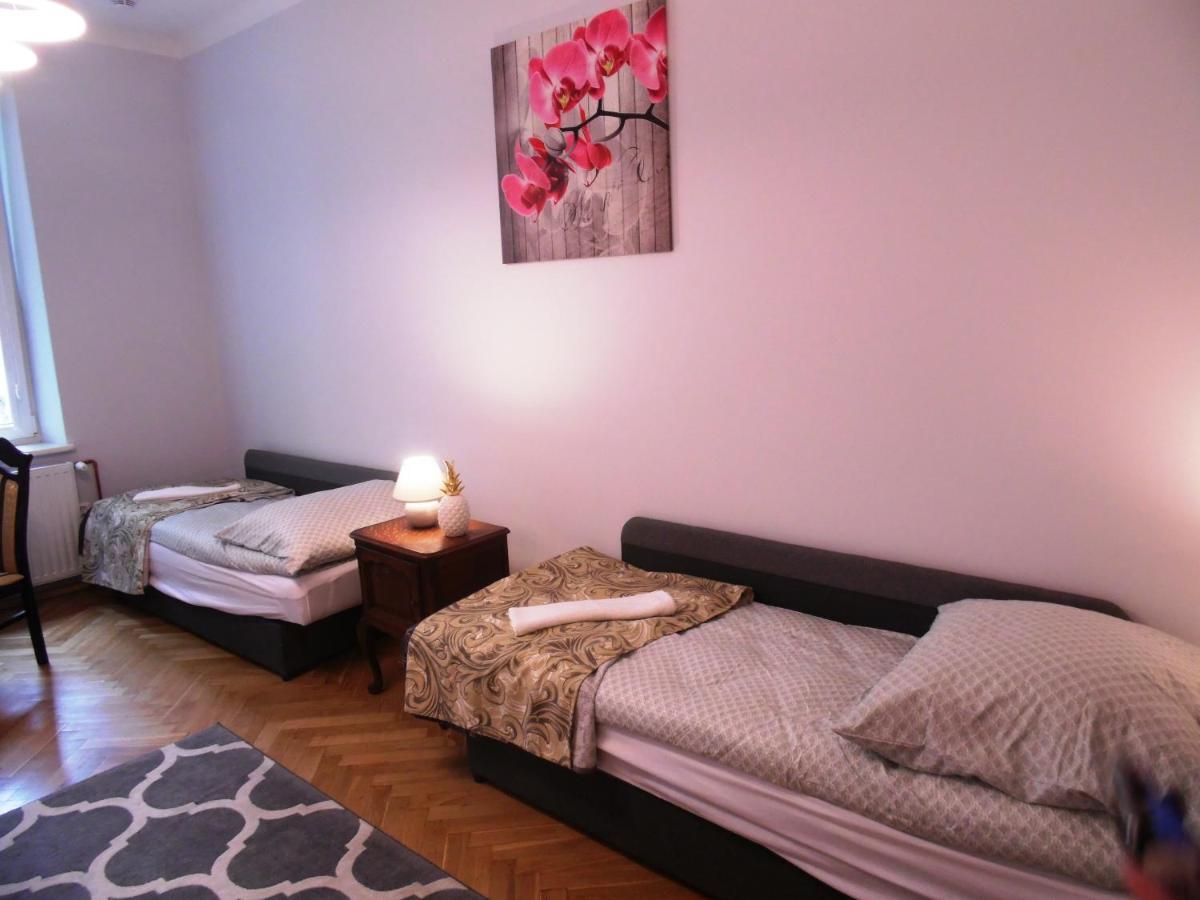 Orchidea Krakow